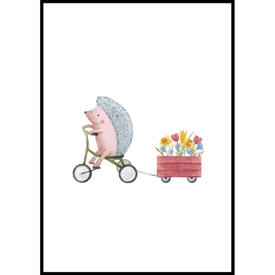 plakat jeżyk na rowerku 50x70 cm