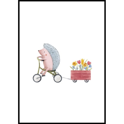 plakat jeżyk na rowerku 50x70 cm
