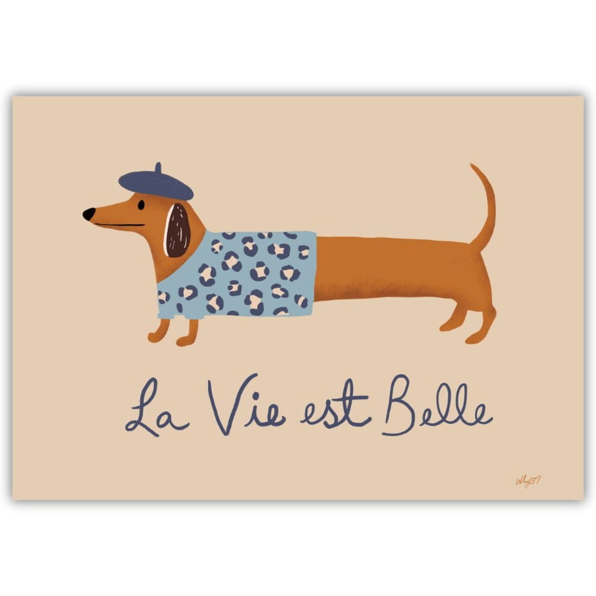 plakat jamnik w niebieskim berecie 70x100