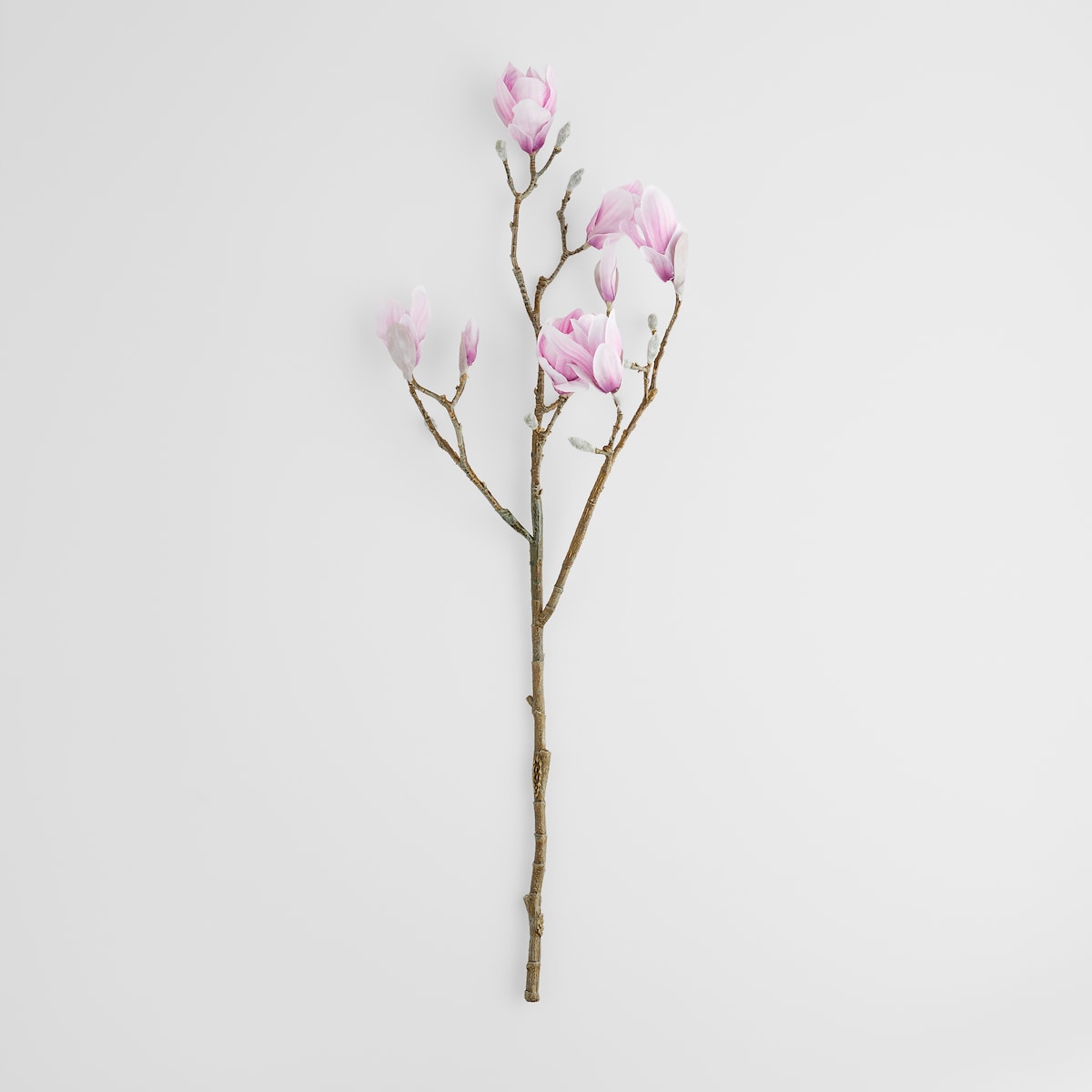 Kwiat Magnoso z motywem roślinnym