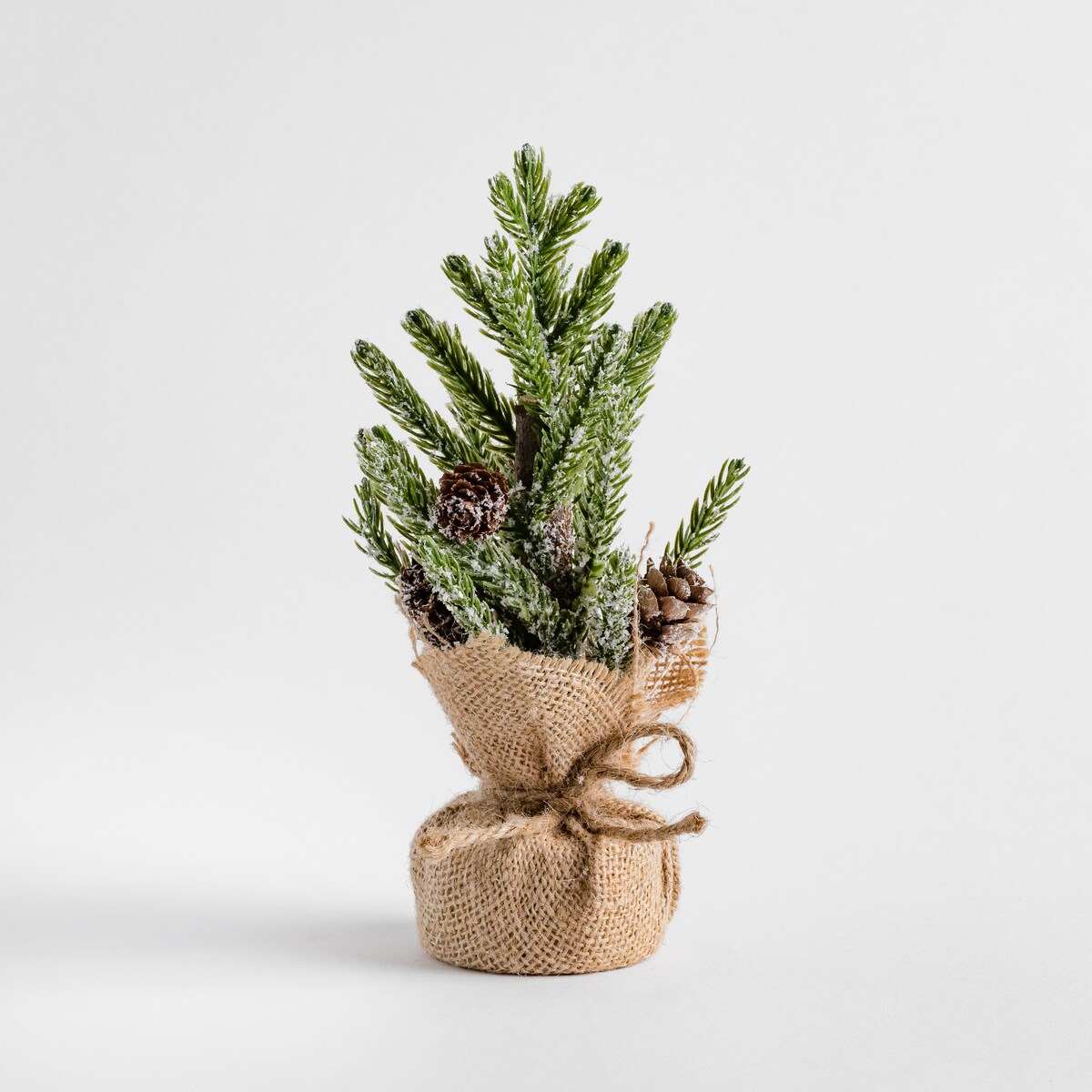 Stroik Tinytree