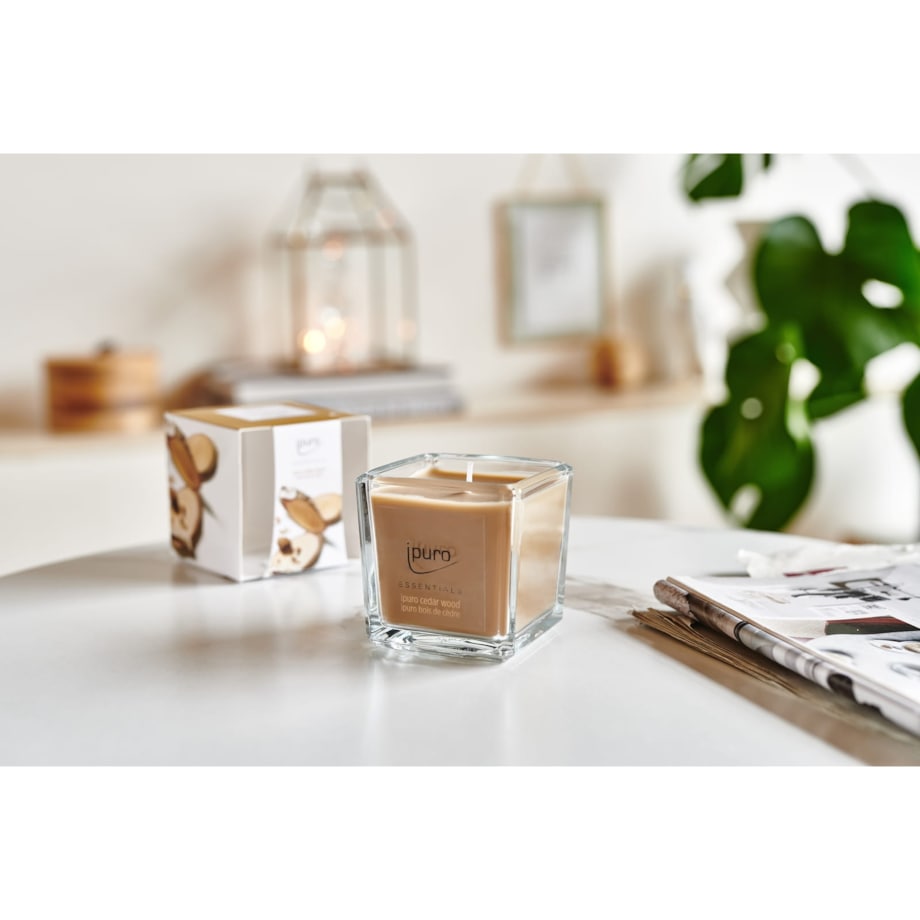Świeca zapachowa ipuro ESSENTIALS Cedar Wood 125 g