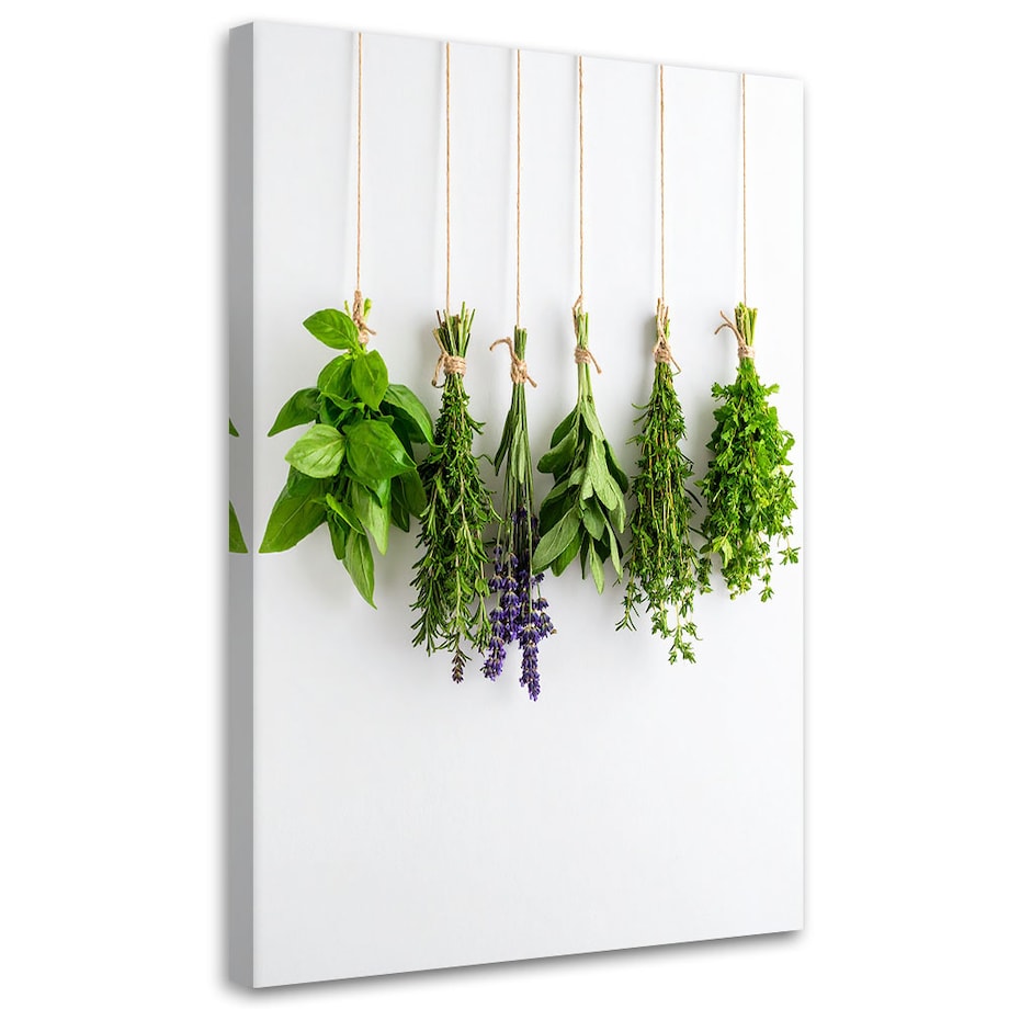 Obraz do kuchni jadalni, Zioła przyprawy 70x100