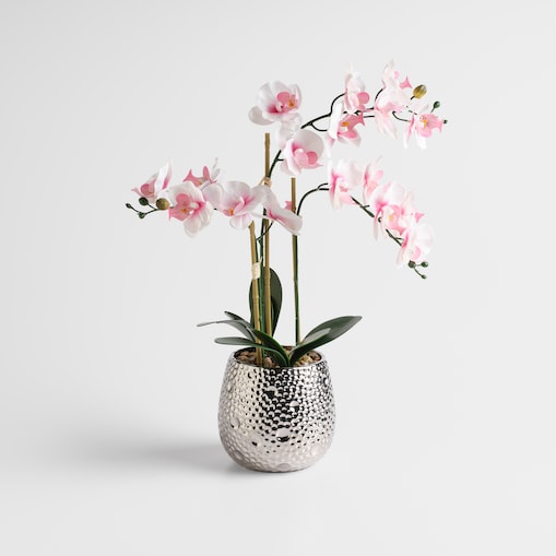 Stroik Orchillo z motywem roślinnym