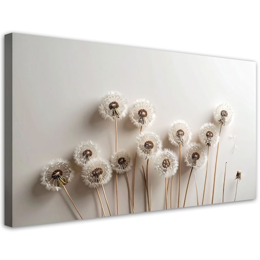 Obraz do salonu kuchni pokoju, Dmuchawce rośliny boho beżowy 120x60