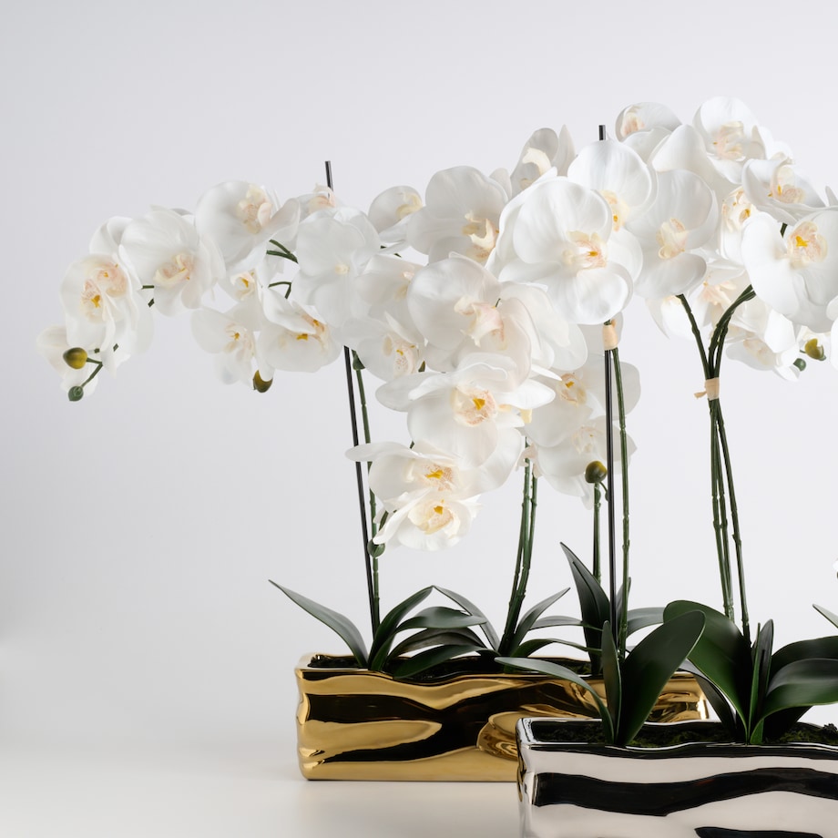 Stroik Orchianum big z motywem roślinnym