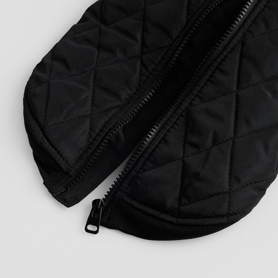 Ubranko Dla Zwierzaka Celio