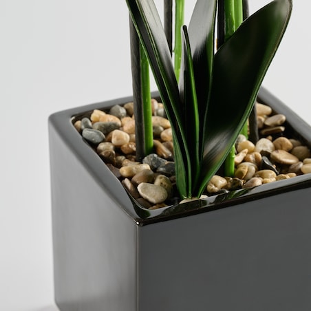 Stroik Florettis z motywem roślinnym