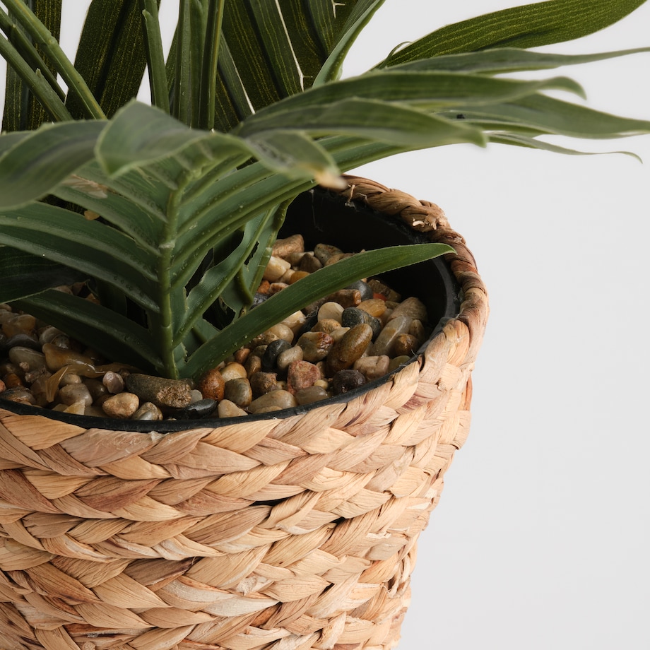 Stroik Vimeso z motywem roślinnym