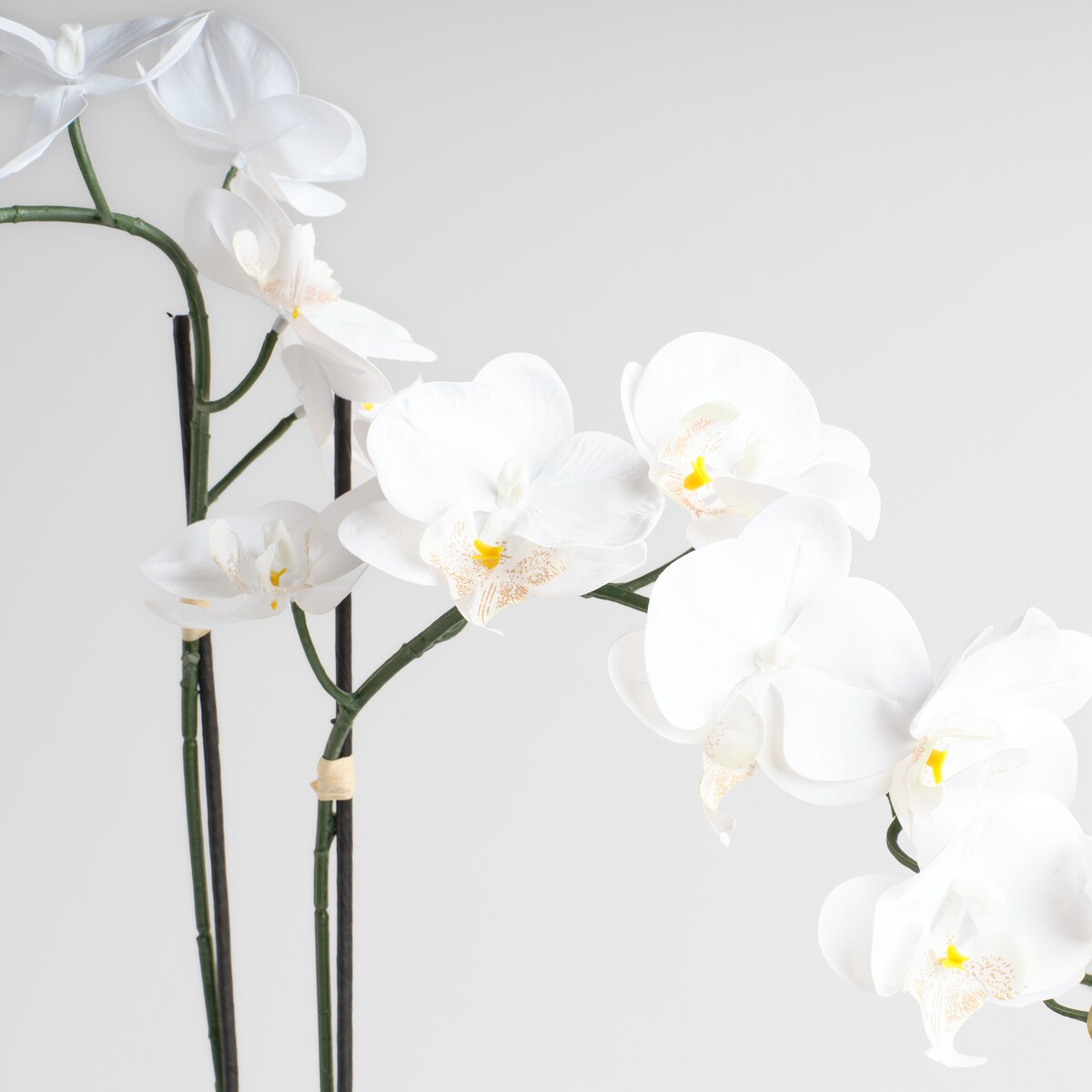 Stroik Orcheniso z motywem roślinnym