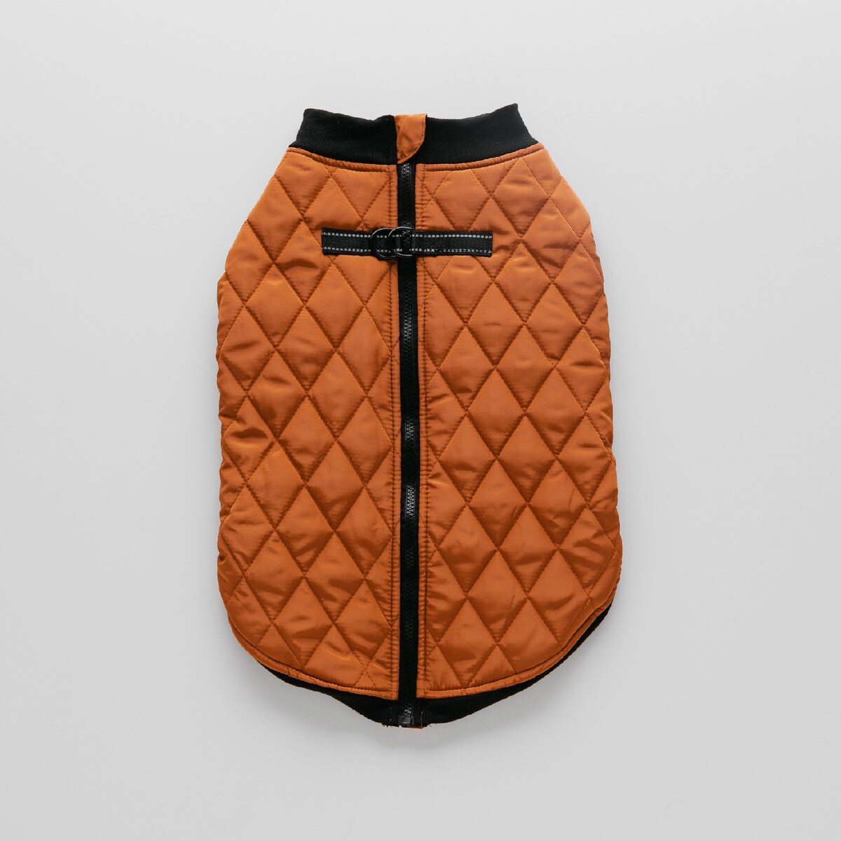 Ubranko Dla Zwierzaka Celio