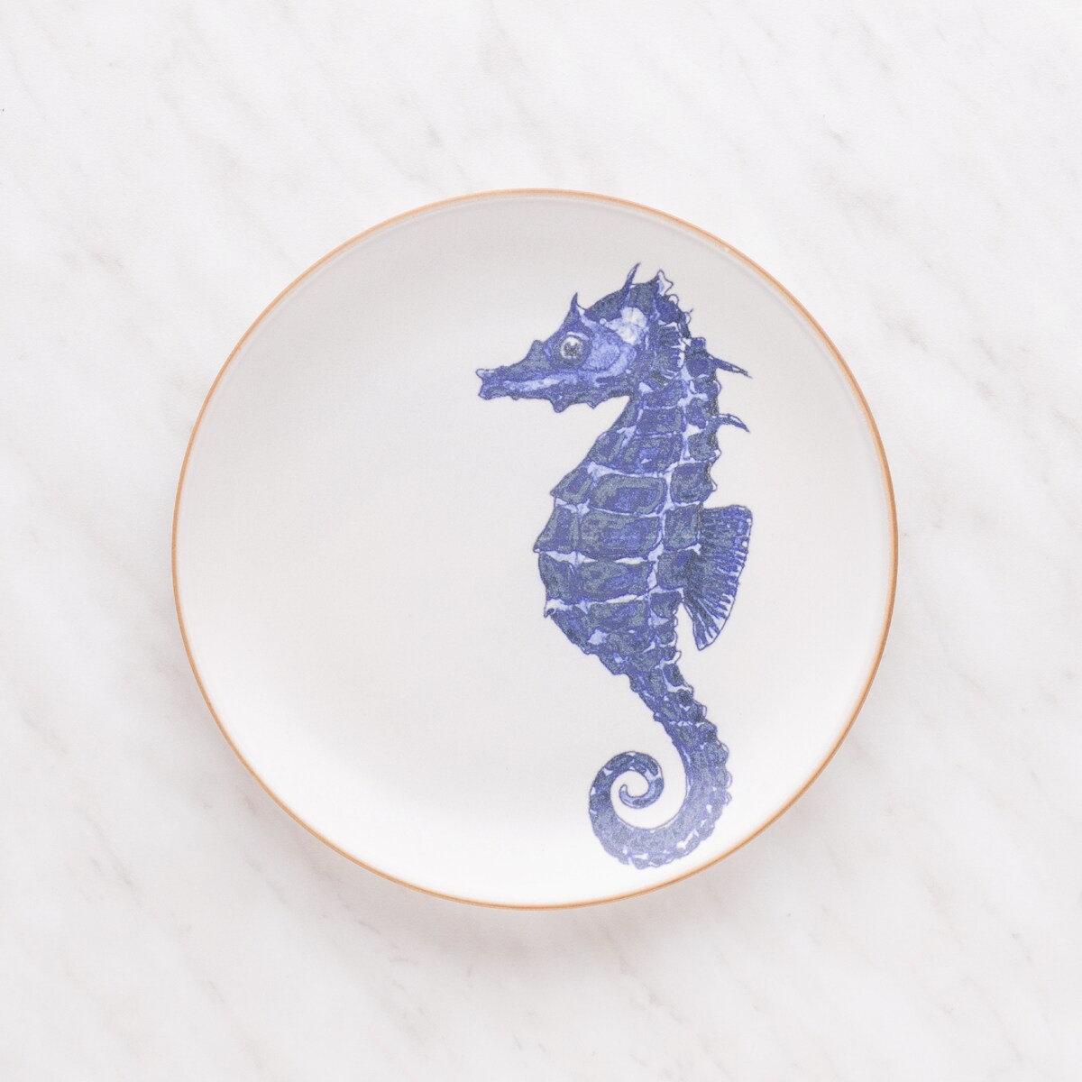 Patera Seahorsi