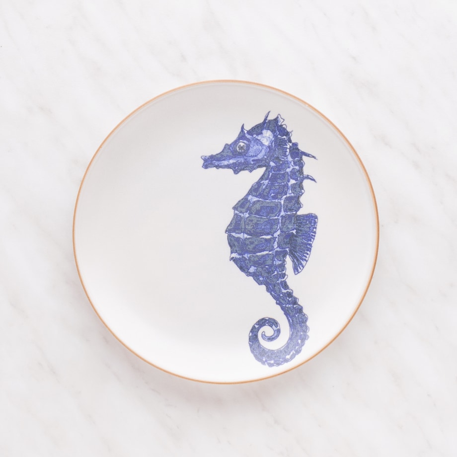 Patera Seahorsi