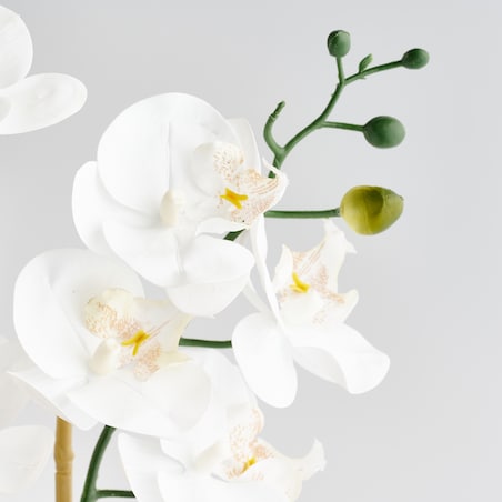 Stroik Orchesio z motywem roślinnym