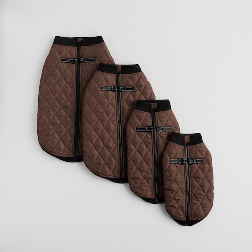 Ubranko Dla Zwierzaka Celio