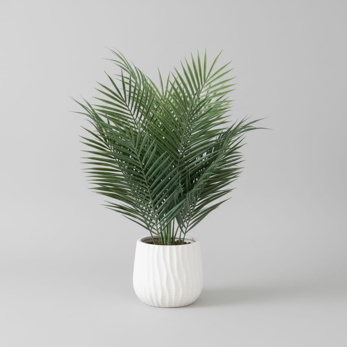 Stroik Timero z motywem roślinnym