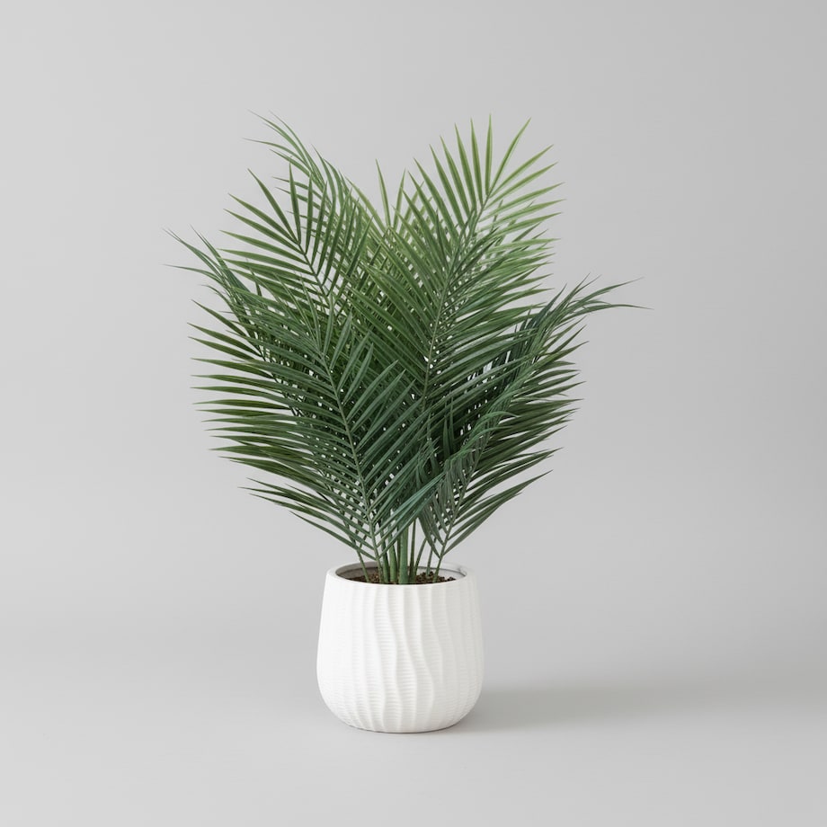 Stroik Timero z motywem roślinnym