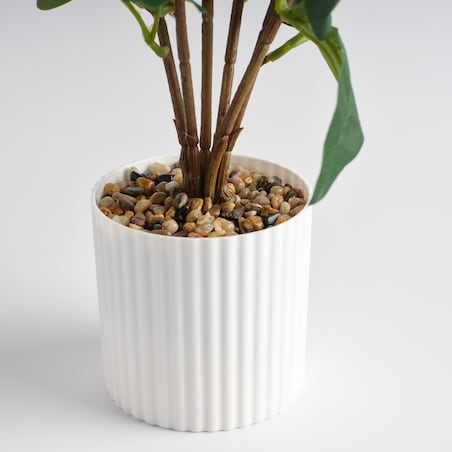 Stroik Floriva