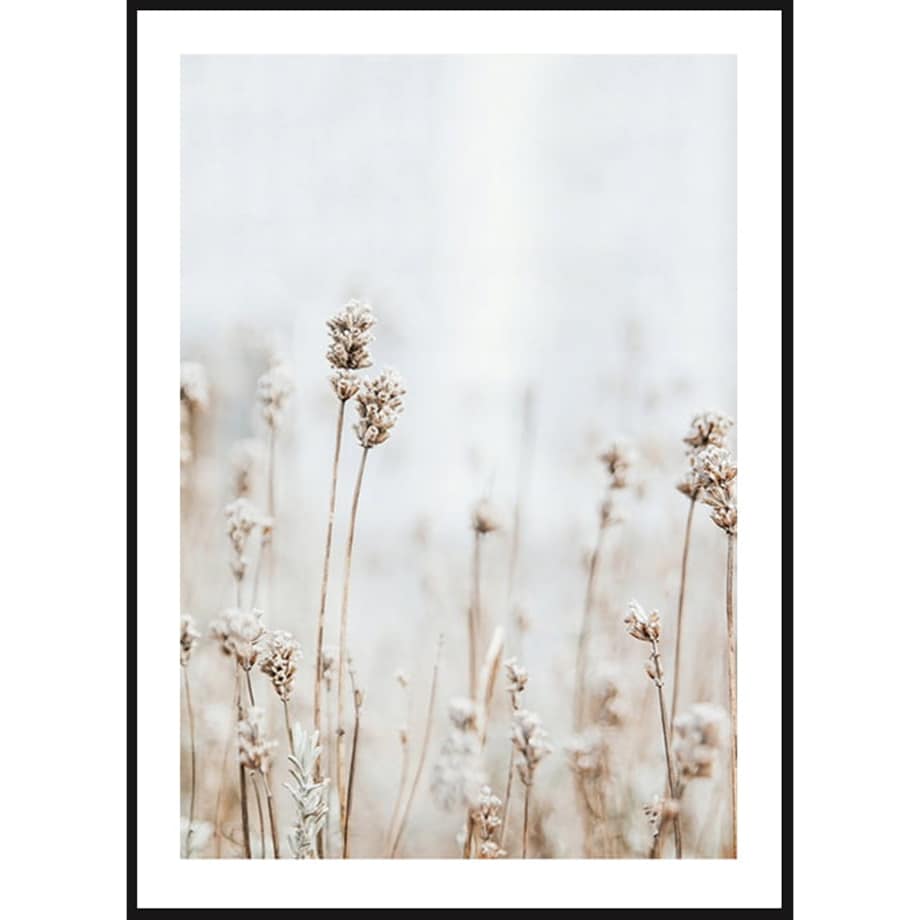 Poster Story, Plakat, Obraz - Delikatne Polne Kwiatki, wymiary 30 x 42 cm