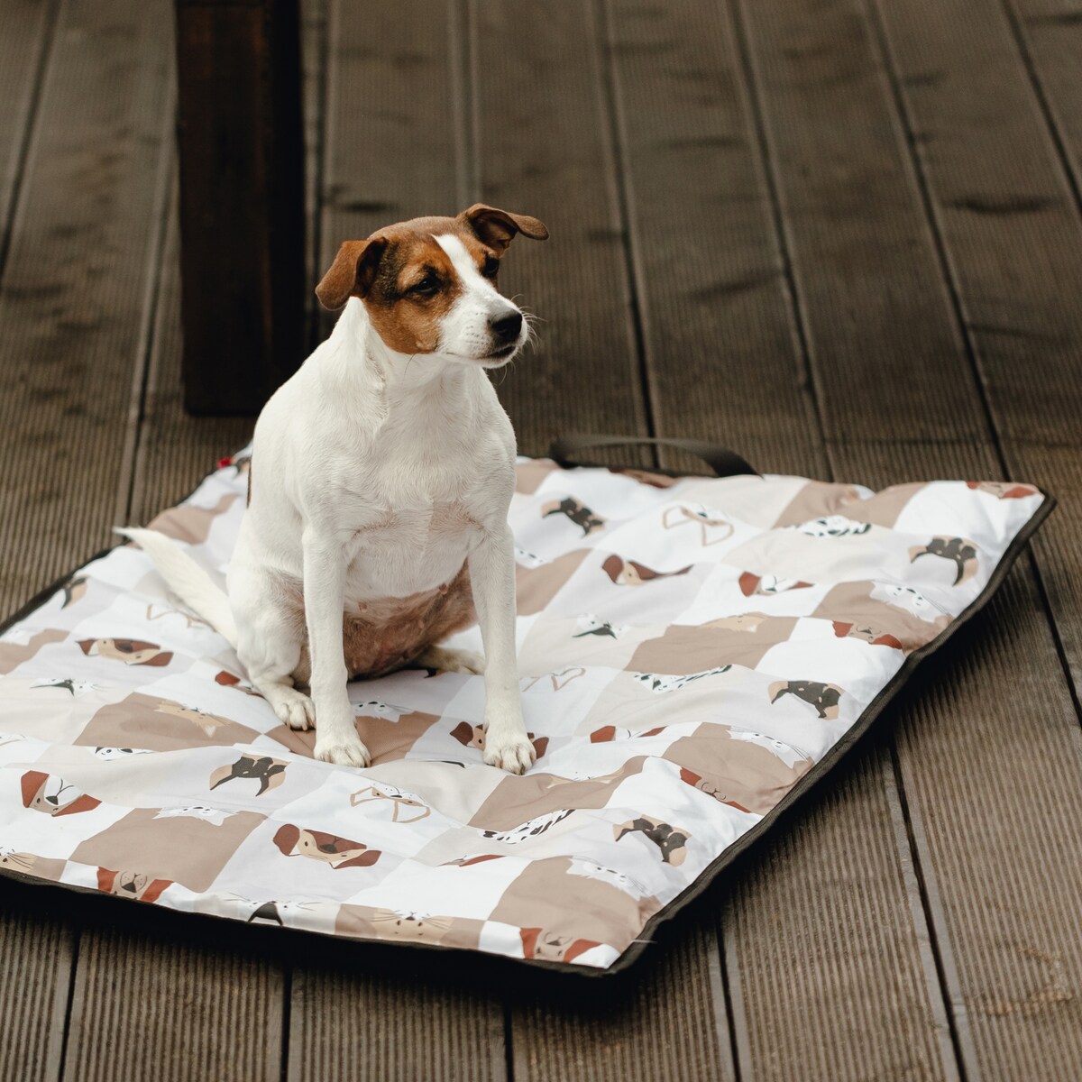 Legowisko Petart Togo