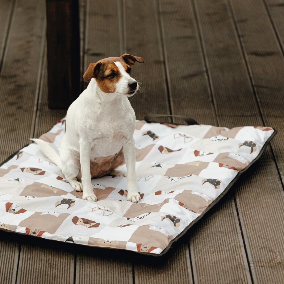 Legowisko Petart Togo