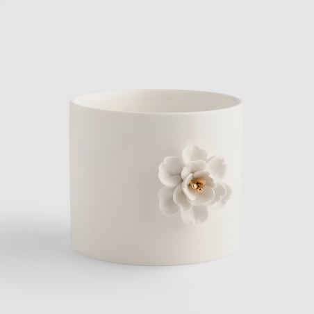 Osłonka Celines