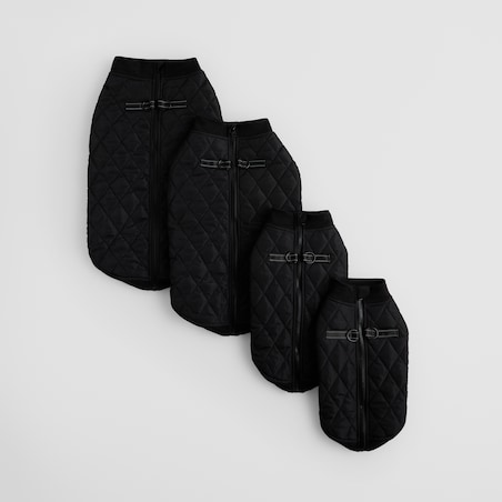 Ubranko Dla Zwierzaka Celio