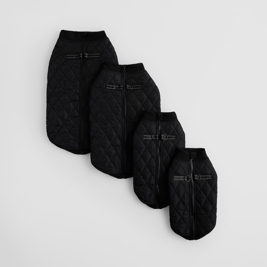 Ubranko Dla Zwierzaka Celio