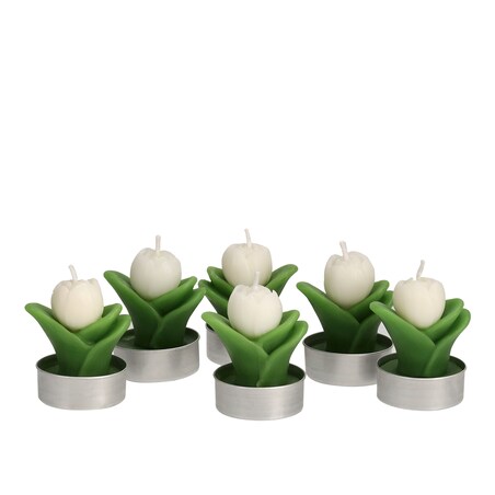 Komplet Podgrzewaczy Tulipos