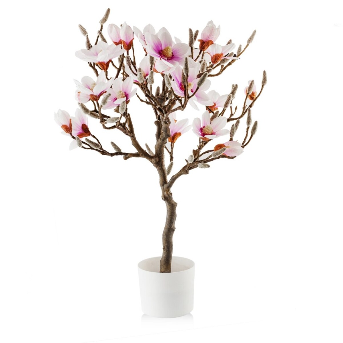 Stroik Magnotree