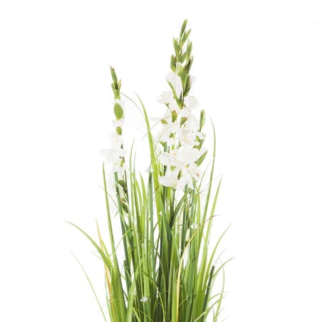Stroik Gladiola Diamond