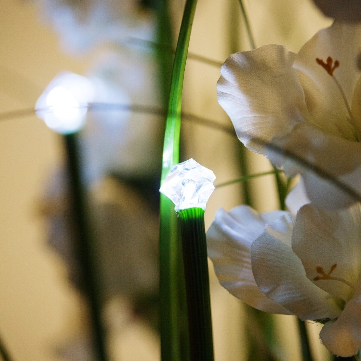 Stroik Gladiola Diamond