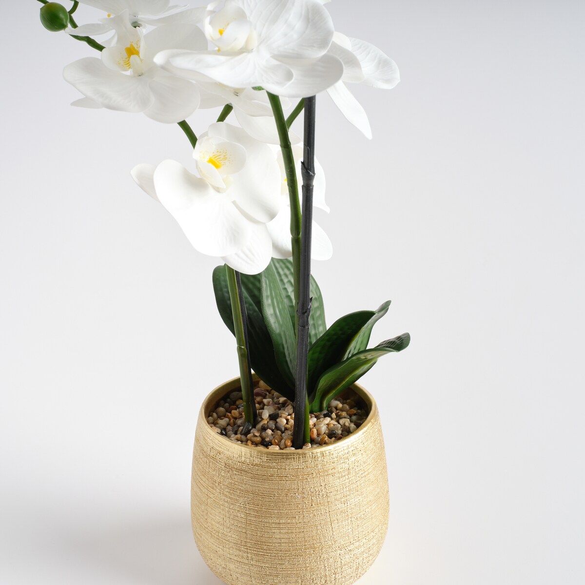 Stroik Orchalica z motywem roślinnym