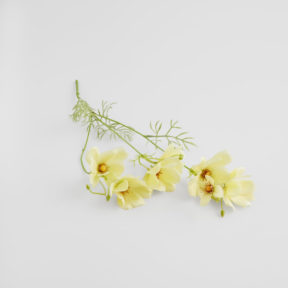 Kwiat Magnoly z motywem kwiatowym