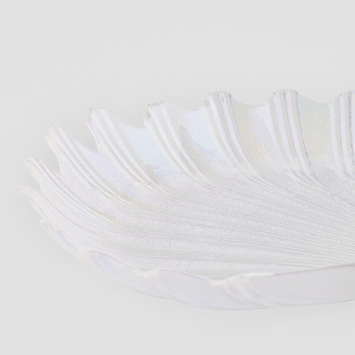 Patera Dekoracyjna Petrolishell