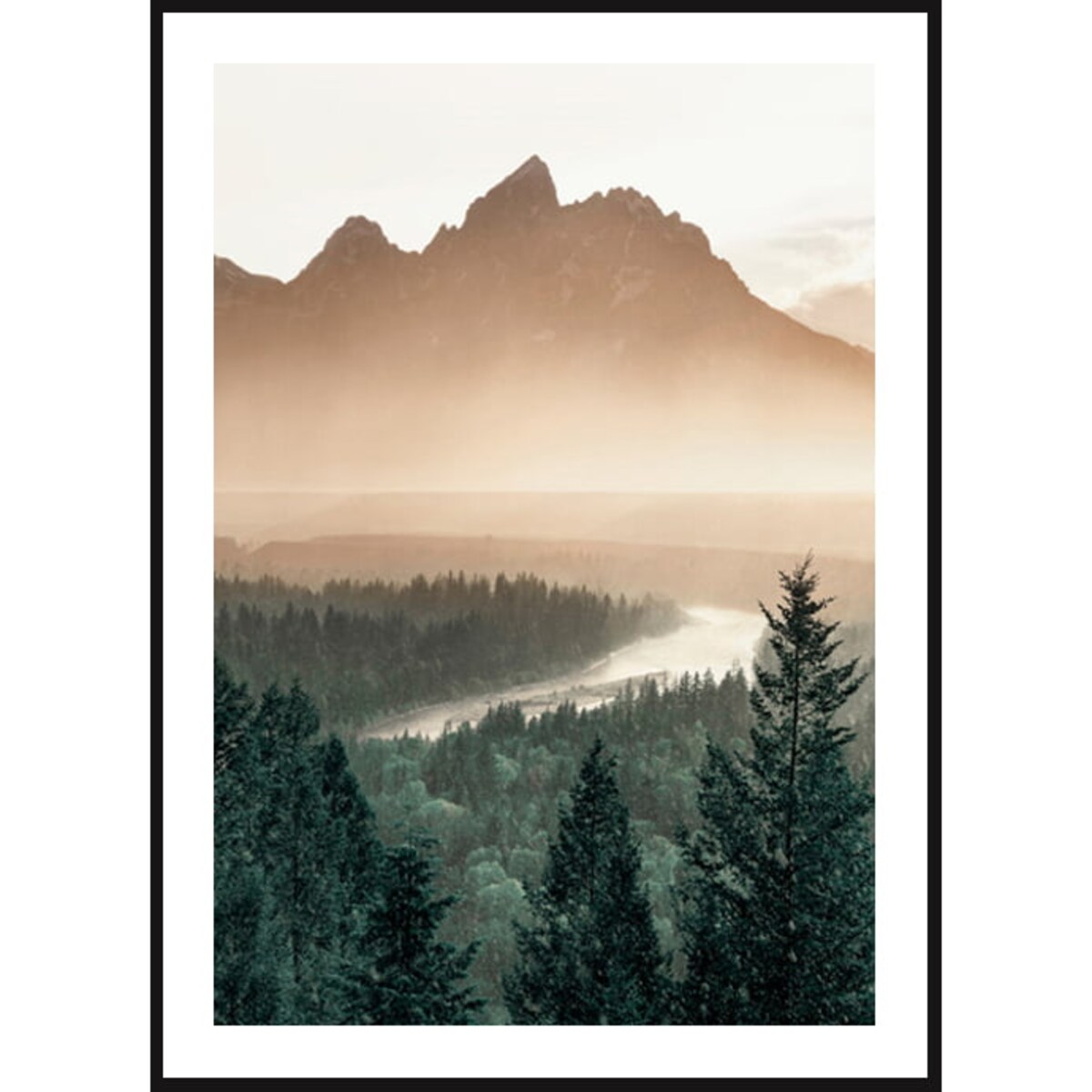 Poster Story, Plakat, Obraz - Las Sosnowy w Górach, wymiary 50 x 70 cm