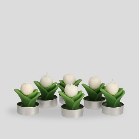 Komplet Podgrzewaczy Tulipos