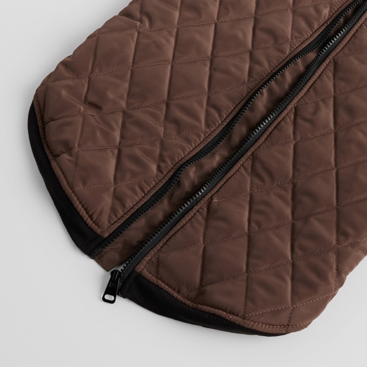 Ubranko Dla Zwierzaka Celio