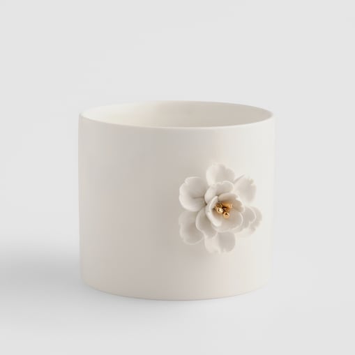 Osłonka Celines