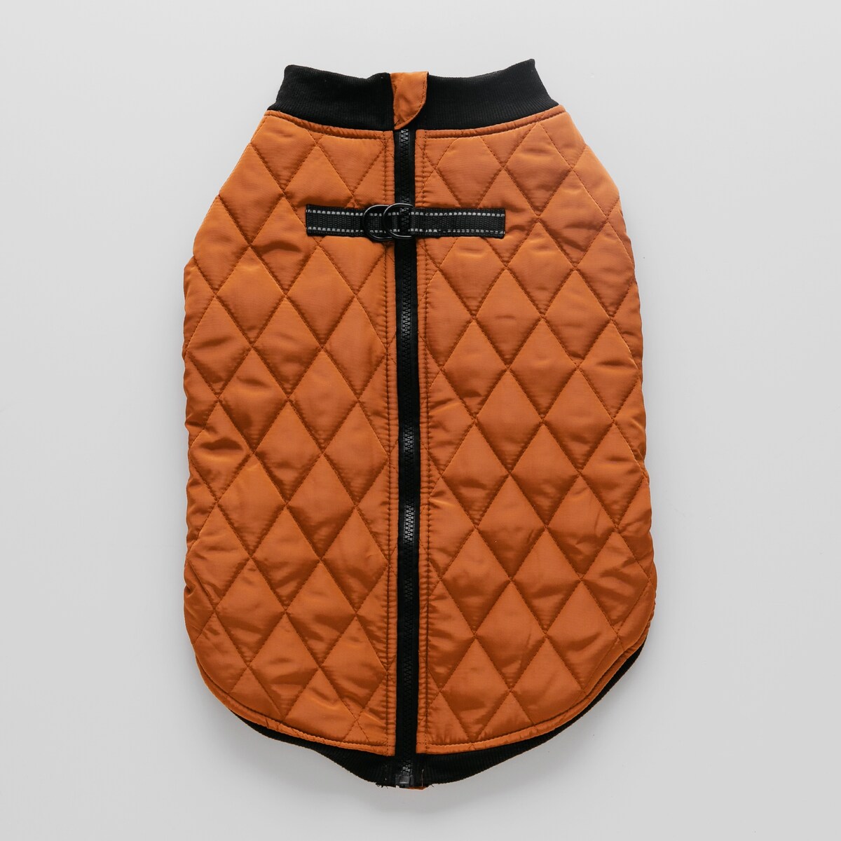 Ubranko Dla Zwierzaka Celio