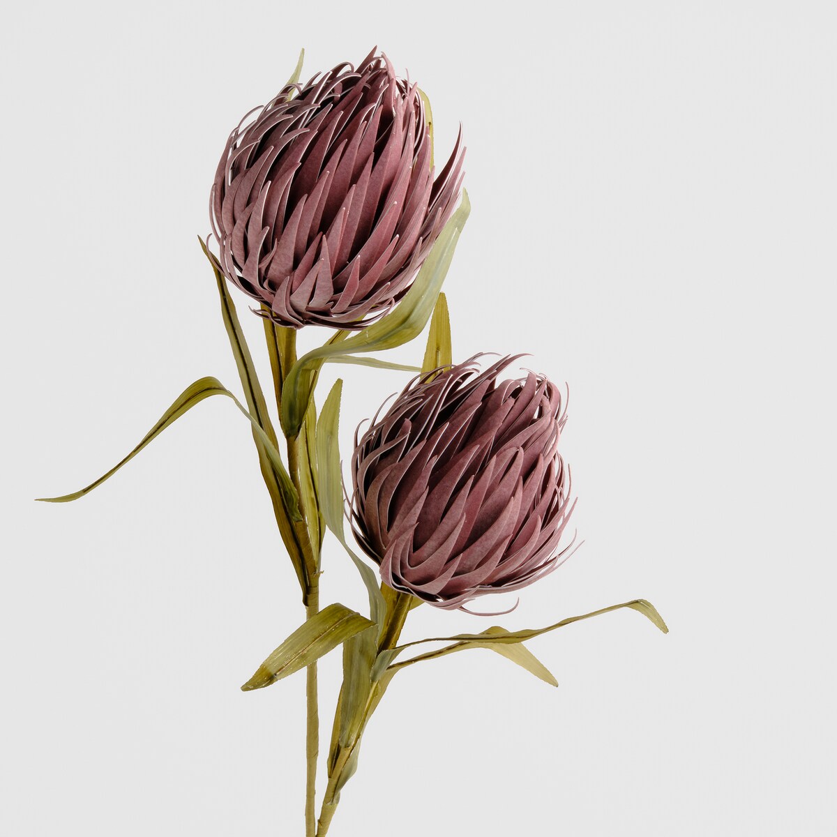 Kwiat Reve z motywem roślinnym