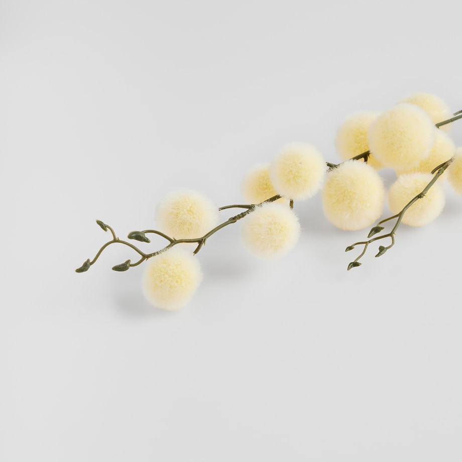 Kwiat Divinos z motywem abstrakcyjnym