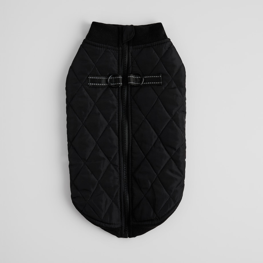 Ubranko Dla Zwierzaka Celio