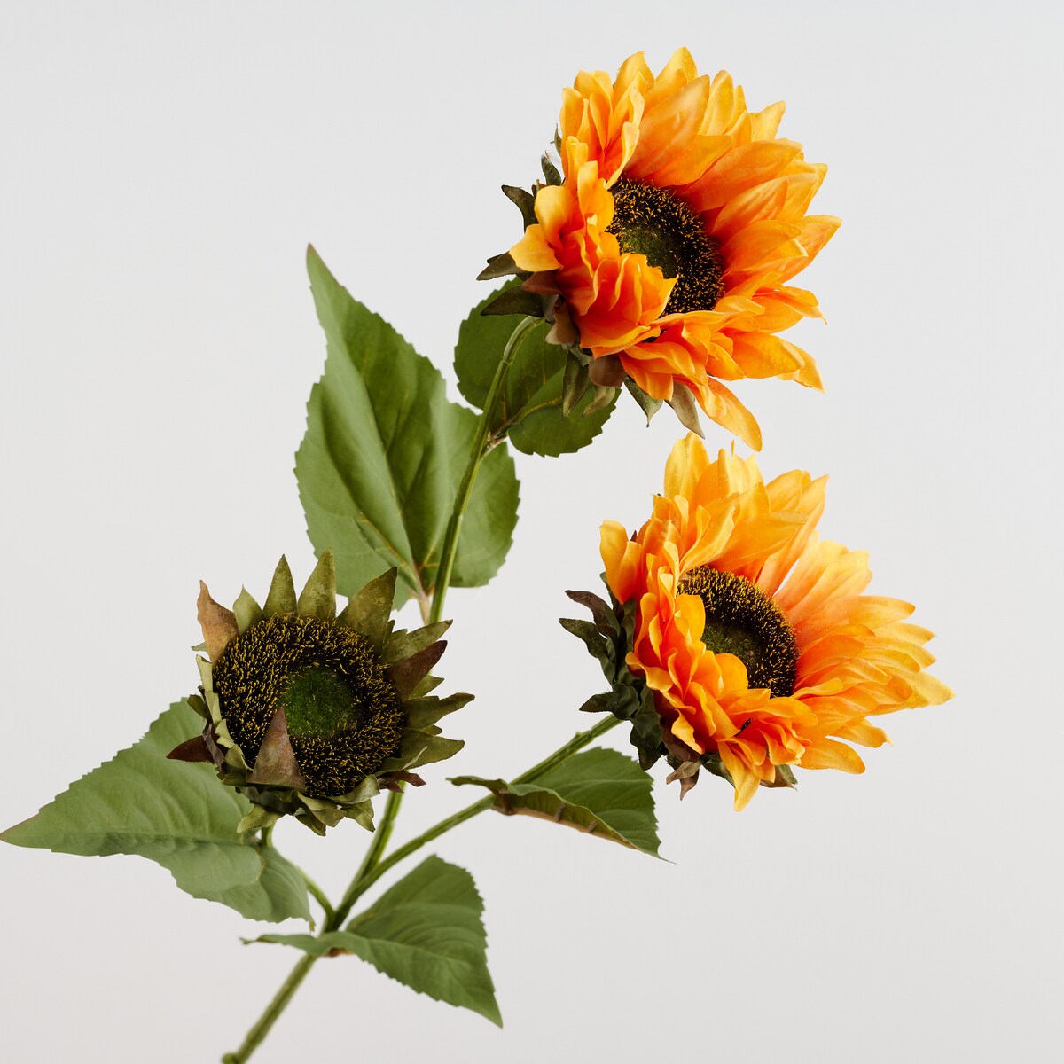 Bukiet Sunfloweris