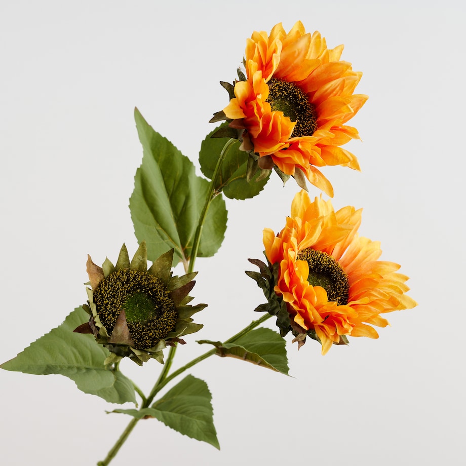 Bukiet Sunfloweris