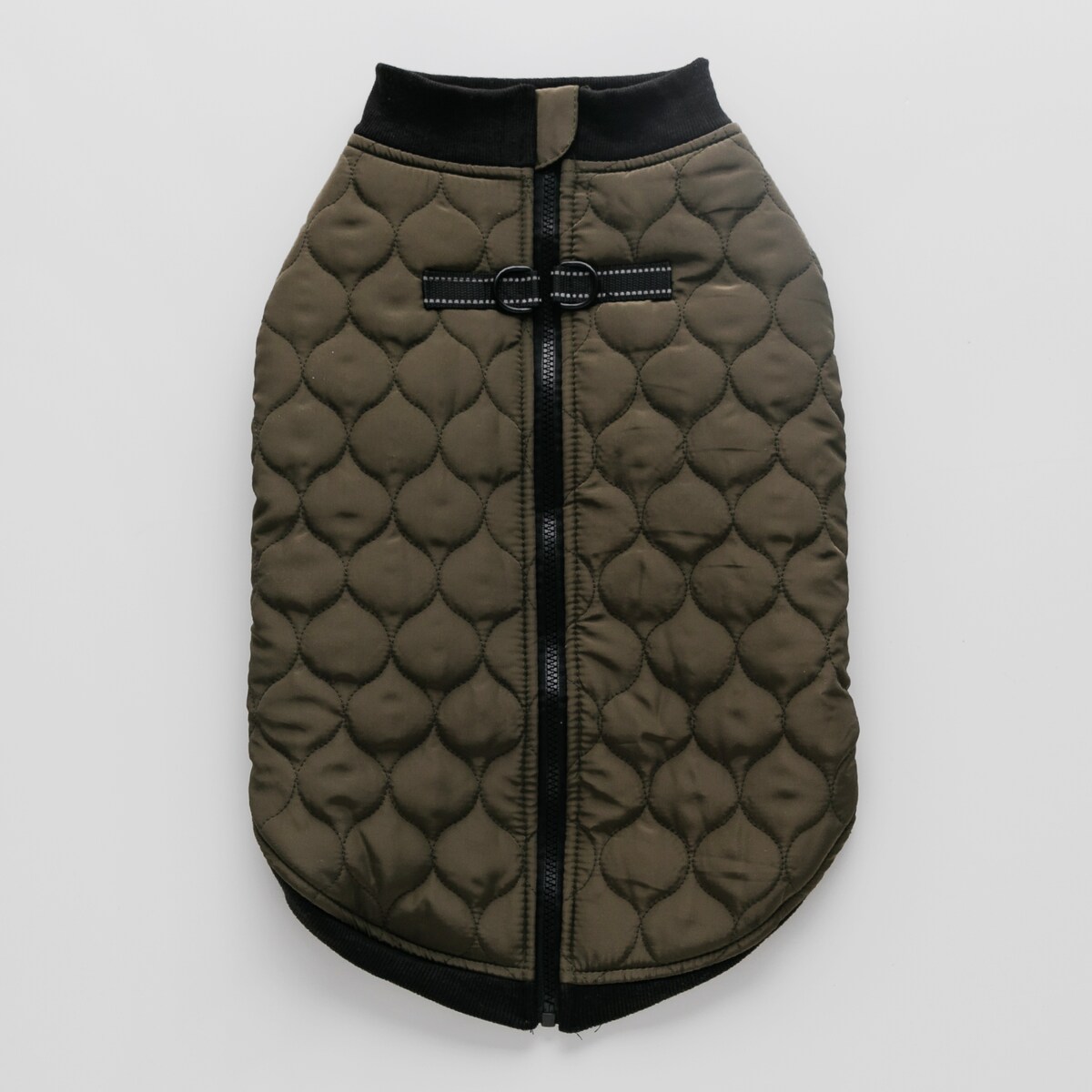 Ubranko Dla Zwierzaka Celtic