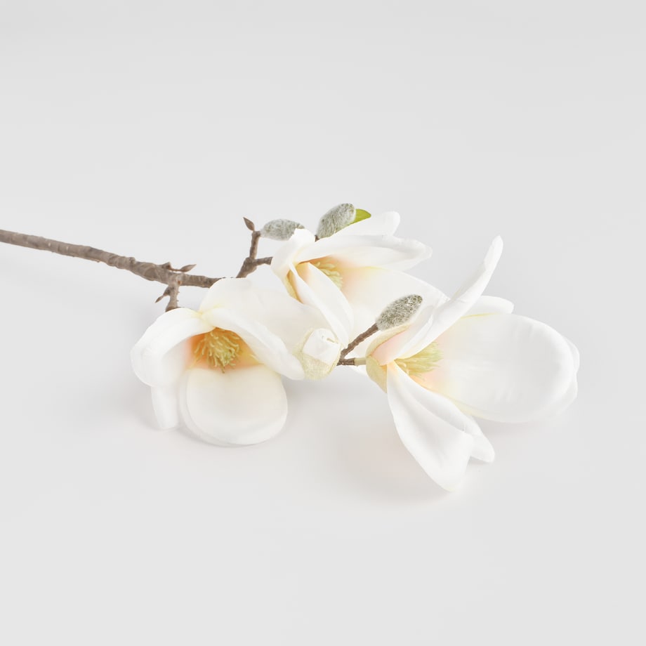 Kwiat Magnosi z motywem roślinnym