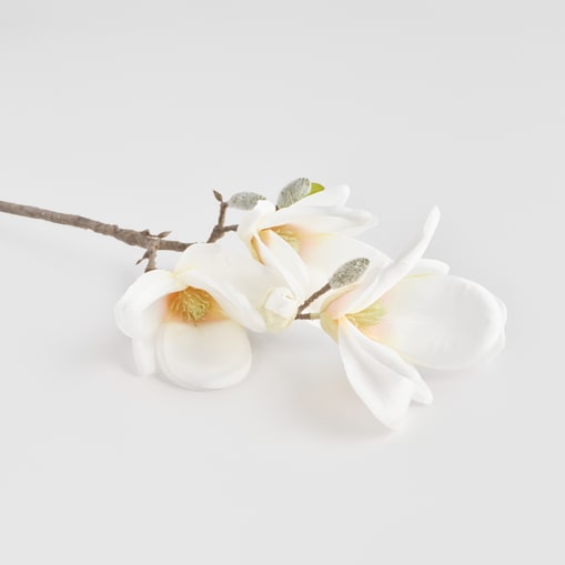 Kwiat Magnosi z motywem roślinnym