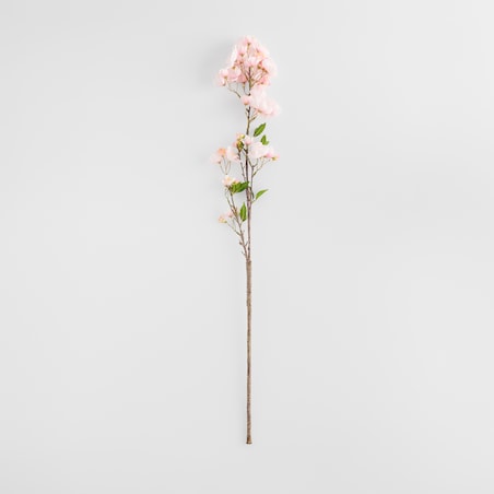 Kwiat Cerezo z motywem roślinnym