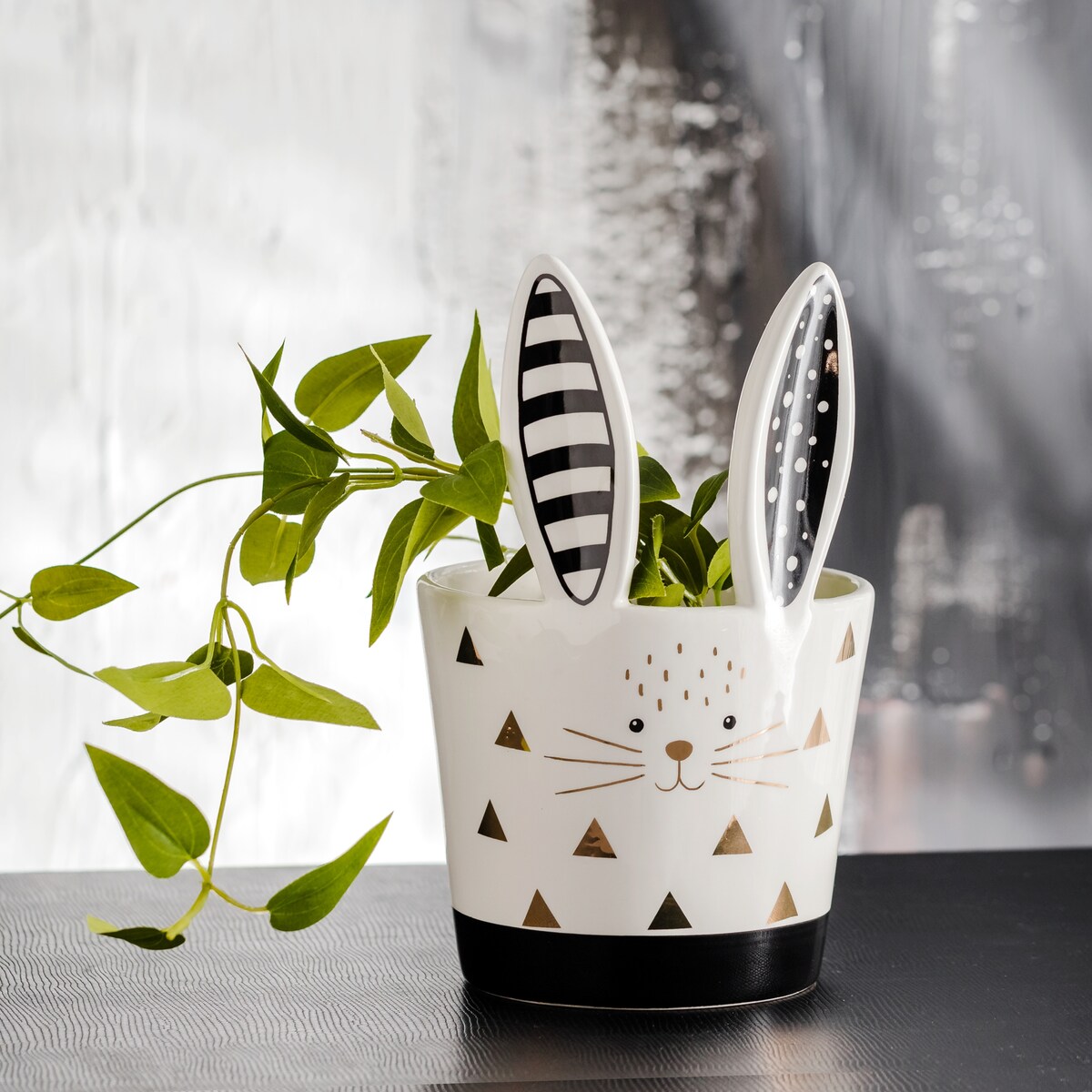 Osłonka Modernbunny